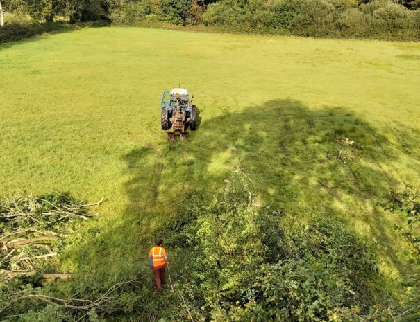 Tree Felling 2