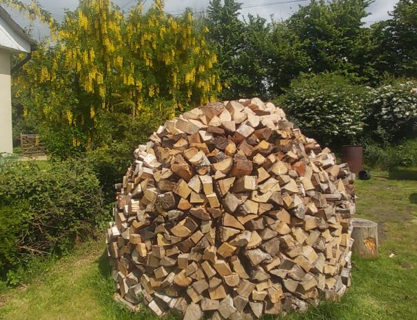 Firewood