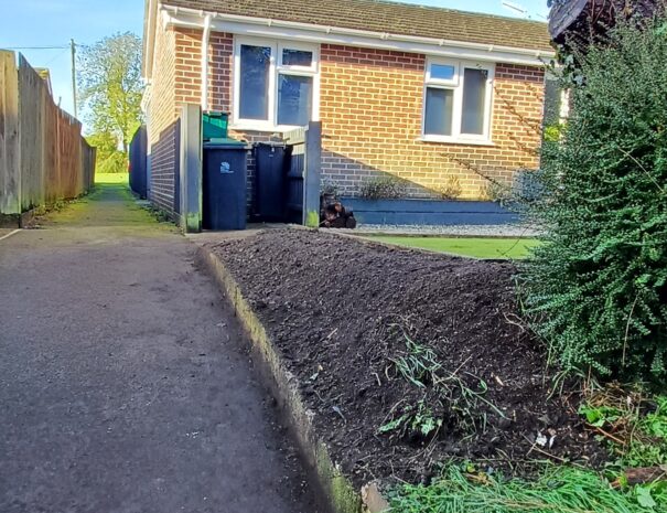 Stump Grinding 4