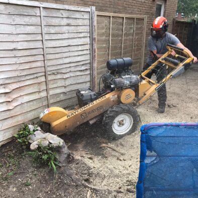 Stump Grinding 7