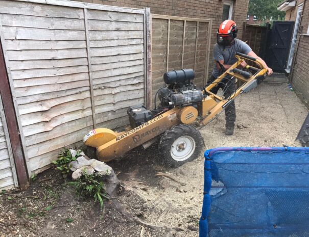 Stump Grinding 7