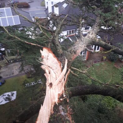 Storm Damage